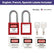 Lockout Tagout Kit with Red Safety Padlocks, Hasps Set, Loto Tags, Electrical Lock Out Tag Out Kits, Keyed Different, 2 Keys Per Locks, 7162