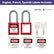 Lockout Tagout Station with Loto Devices - 5 Safety Padlocks, 2 Hasps, 25 Lockout Tags, 25 Nylon Ties, Lockout Tagout Kit Board for OSHA Compliance, 7052