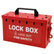 Lockout Tagout Group Lock Box,Portable Red Loto Group Box with 12 Locking Holes,Big Premium Lock Box for OSHA Compliant Group Loto Procedures,8001