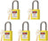 5 Blue Lockout Tagout Locks,Keyed Alike,OSHA Compliant Safety Padlocks for Loto Kits and Stations
